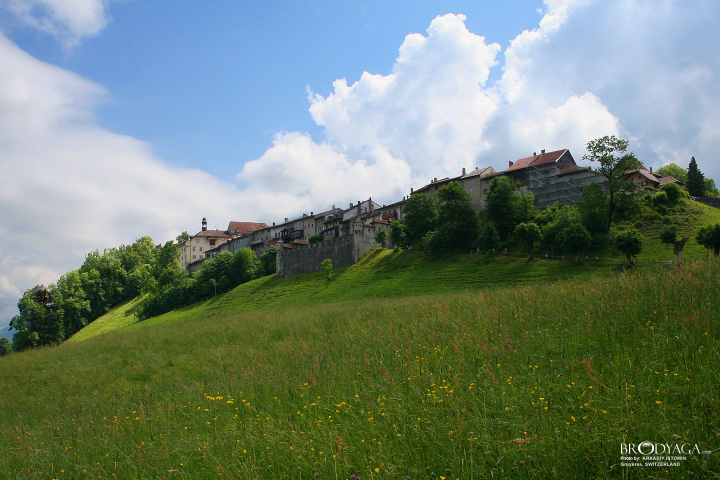 Gruyeres